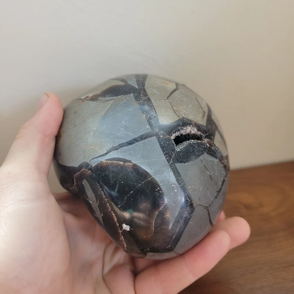 2.75 lb Septarian Partial Egg Black Crystal UV Light Reactive Statement Piece